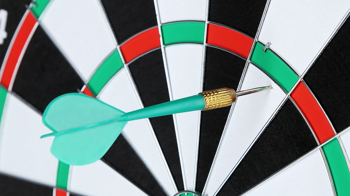 NILS Tarcza do darta  rzutek 2 w 1 TDN05